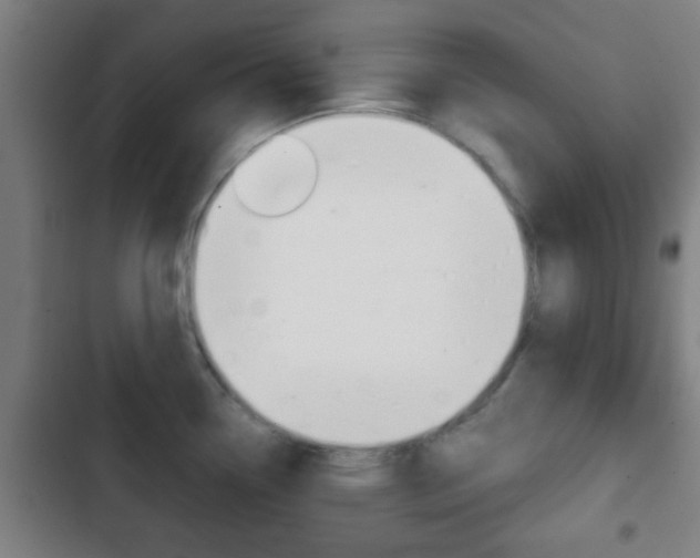 X0000103221338200808280917