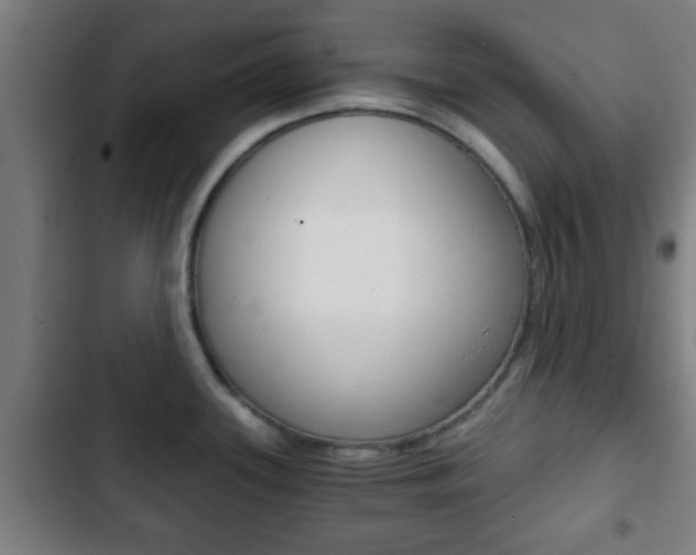 X0000103221339200808280917