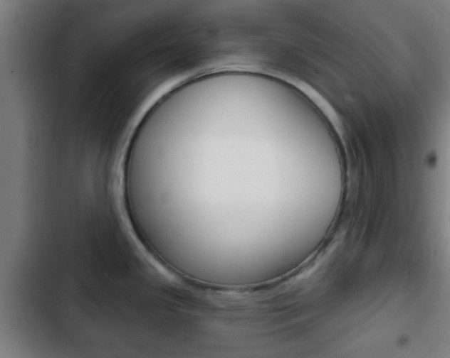 X0000103221341200808280917