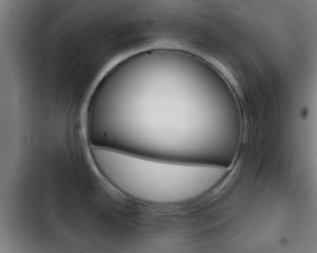 X0000103221342200808280917