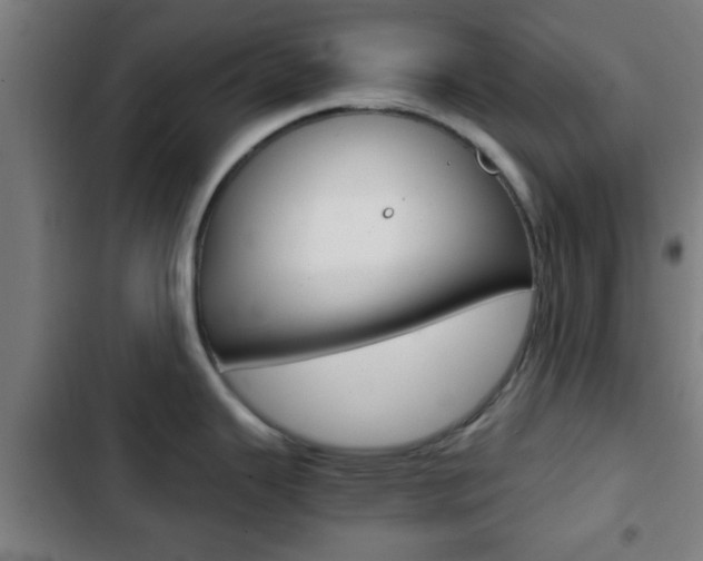 X0000103221343200808280917