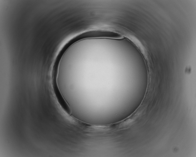 X0000103221344200808280917