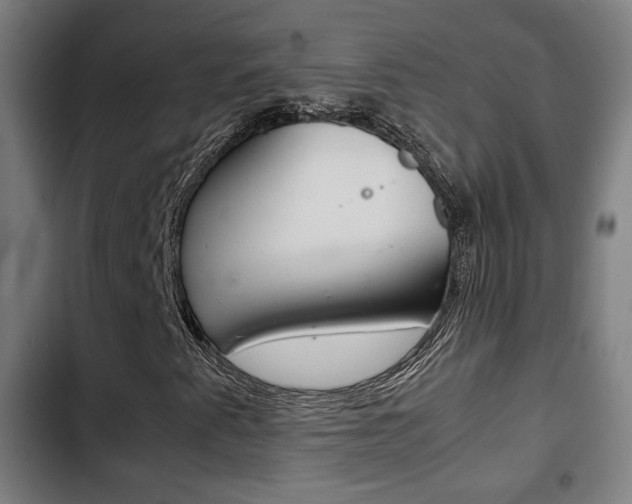 X0000103221345200808280916