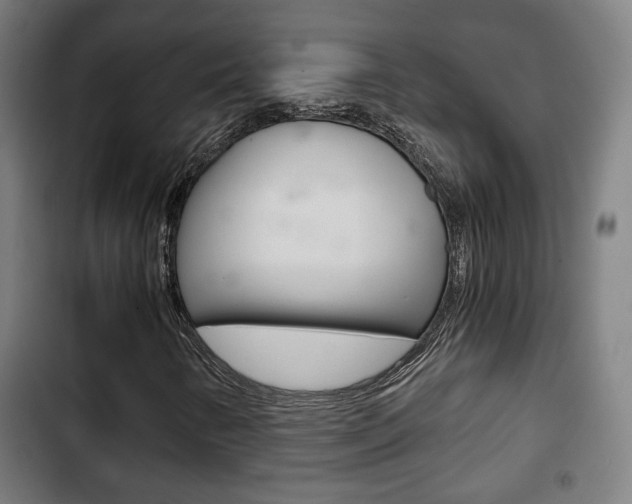 X0000103221346200808280916