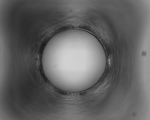 X0000103221347200808280916