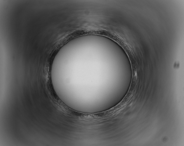 X0000103221348200808280916