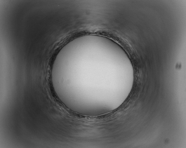 X0000103221349200808280916