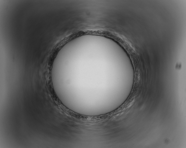X0000103221350200808280916