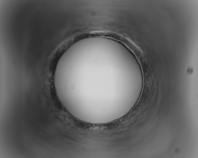 X0000103221351200808280916
