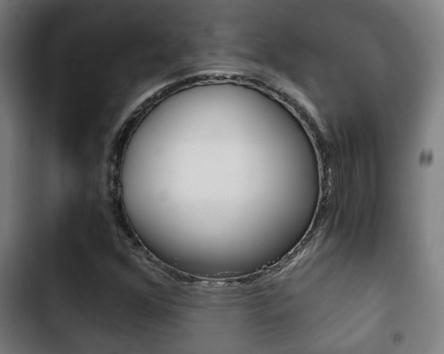 X0000103221352200808280916