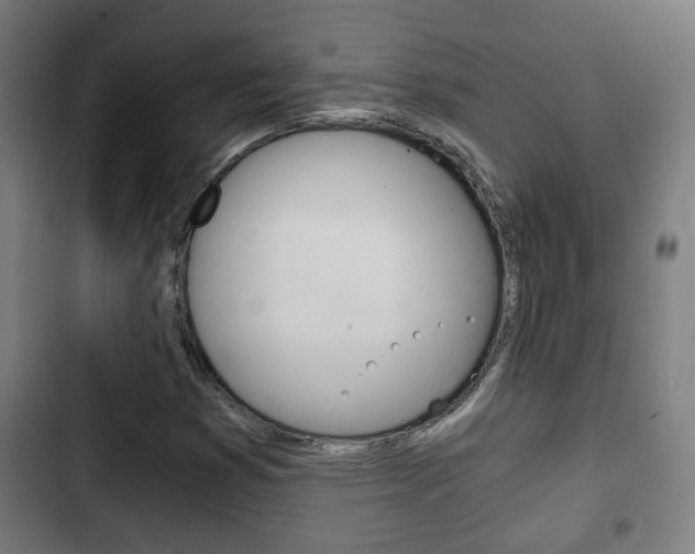 X0000103221353200808280916