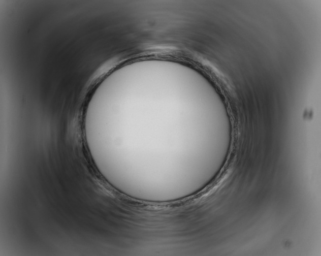 X0000103221354200808280916
