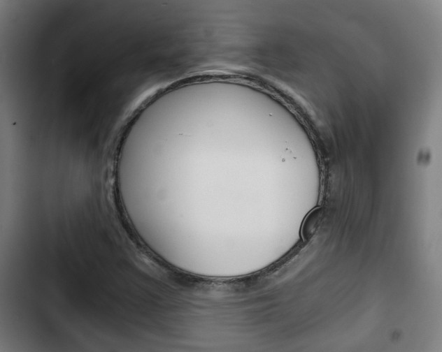 X0000103221355200808280916