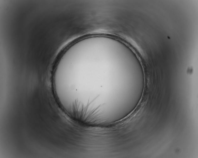 X0000103221356200808280916