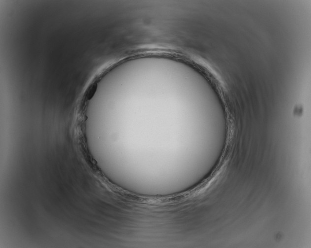 X0000103221357200808280916