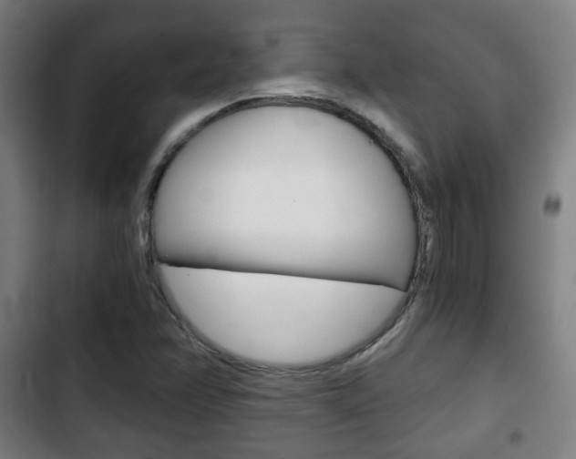 X0000103221358200808280916
