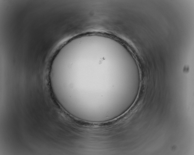 X0000103221359200808280916