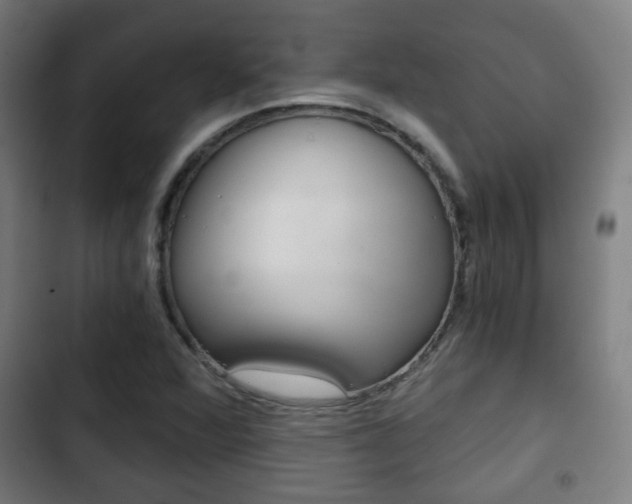 X0000103221360200808280916