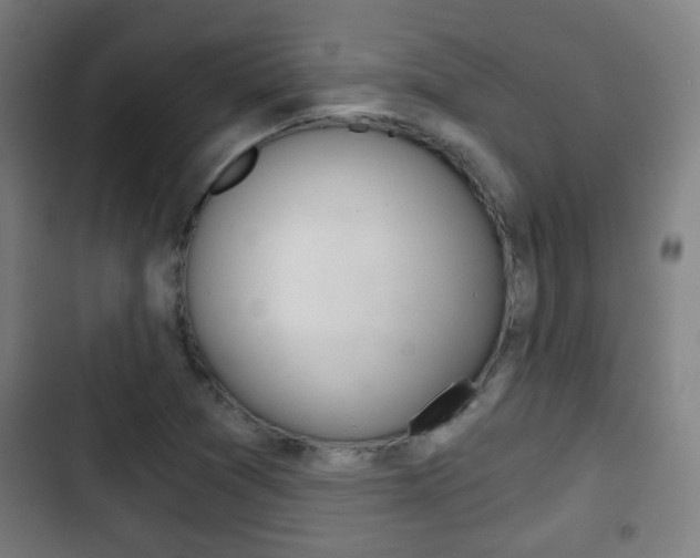 X0000103221361200808280916