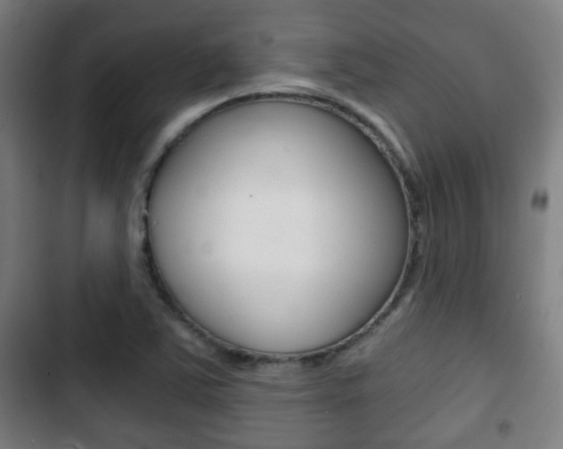 X0000103221363200808280916