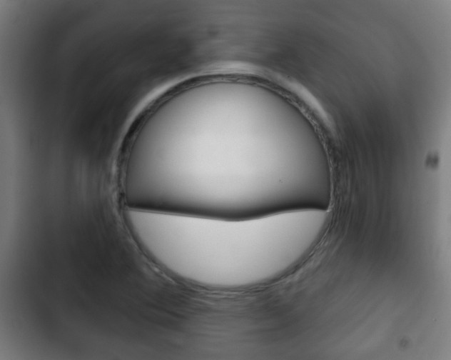 X0000103221364200808280916