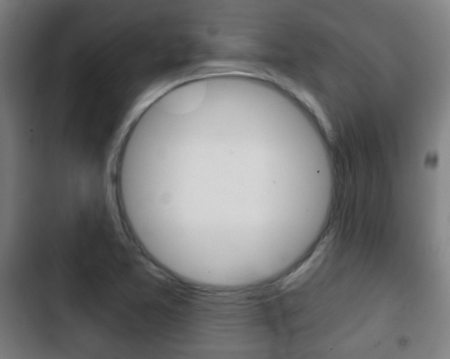 X0000103221365200808280916