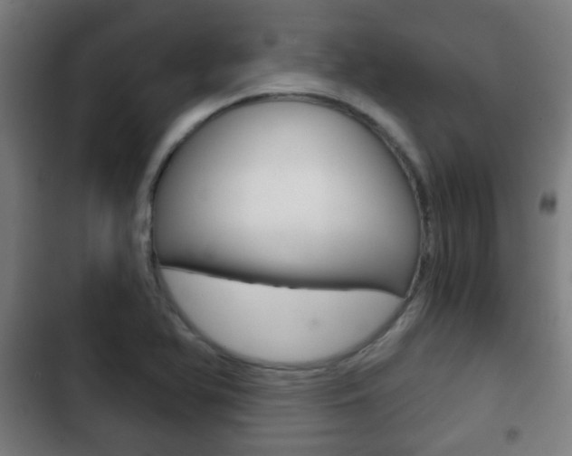 X0000103221366200808280916
