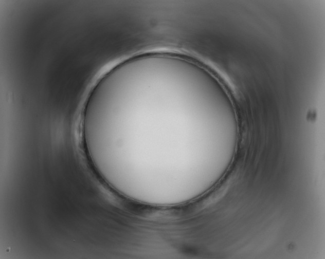 X0000103221367200808280916