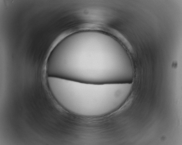 X0000103221370200808280916