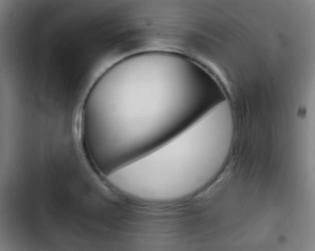X0000103221371200808280916