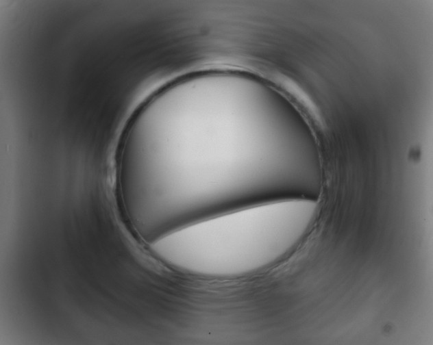X0000103221372200808280916