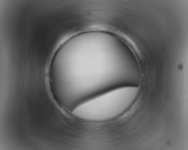 X0000103221373200808280916