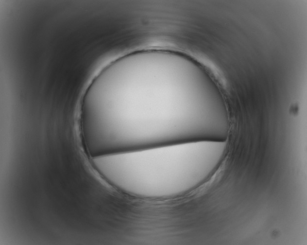 X0000103221374200808280916