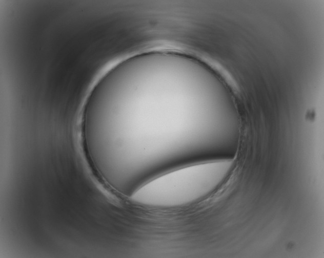 X0000103221375200808280916