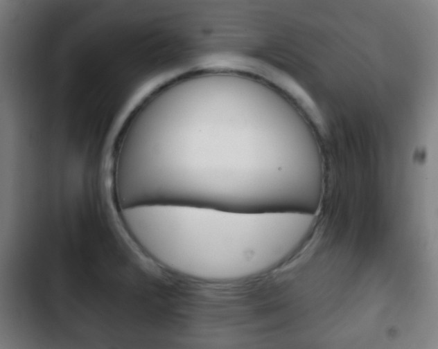 X0000103221376200808280916