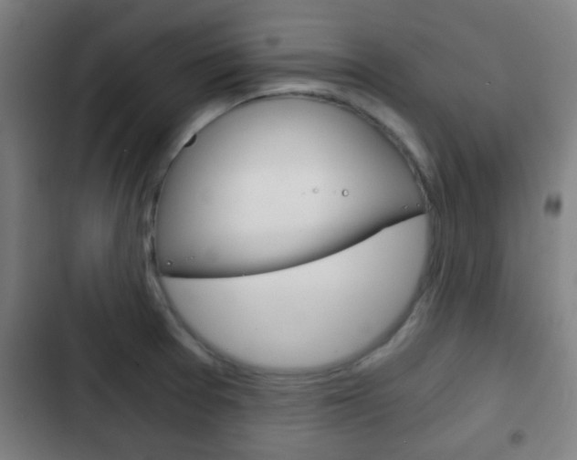X0000103221377200808280916