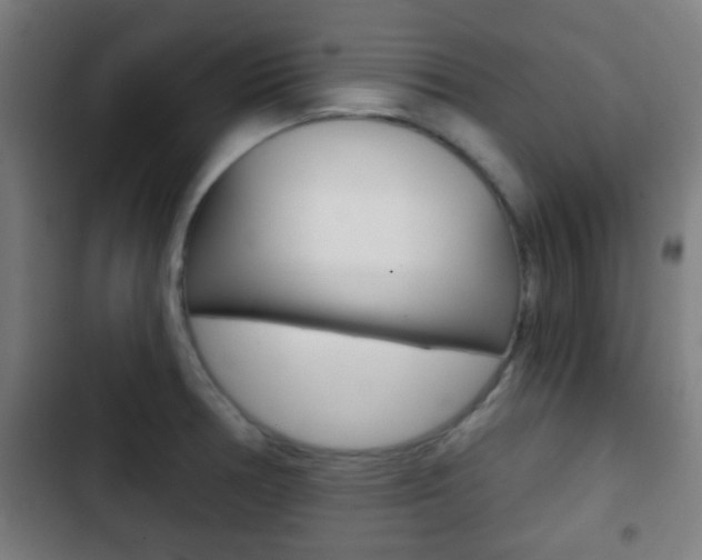 X0000103221378200808280916