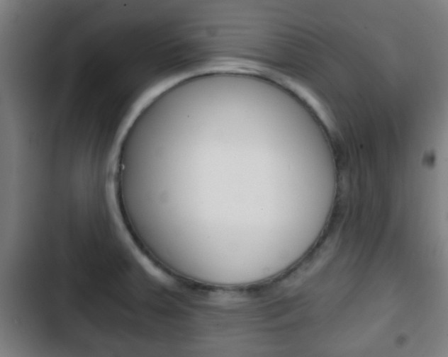 X0000103221379200808280916