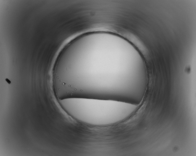 X0000103221380200808280916