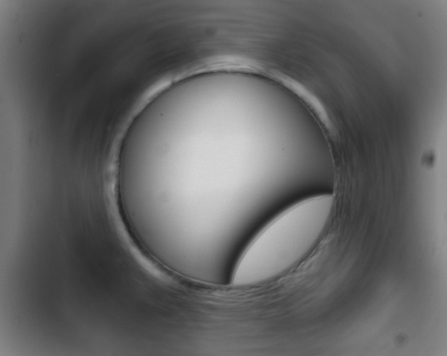 X0000103221383200808280916