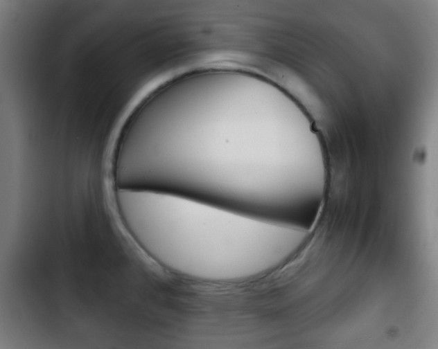 X0000103221384200808280916