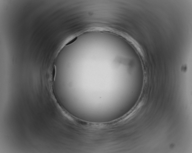 X0000103221385200808280916