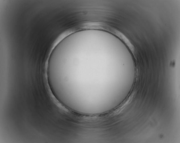 X0000103221386200808280916