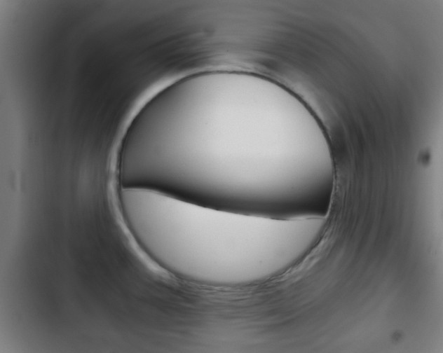 X0000103221387200808280916