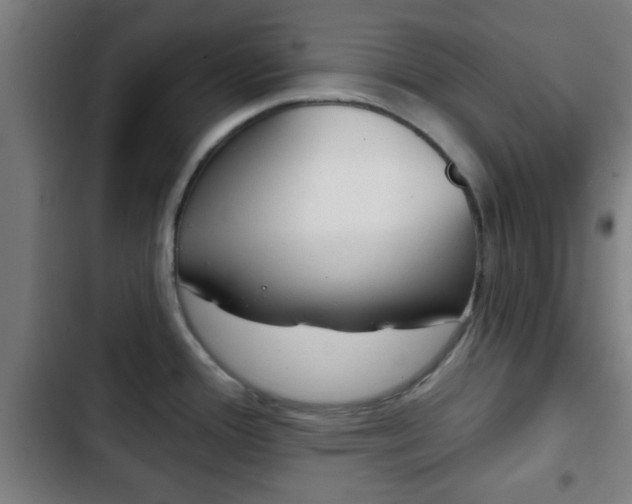 X0000103221388200808280916