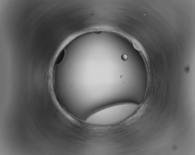 X0000103221389200808280916