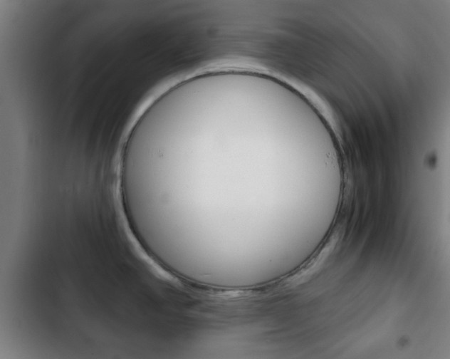 X0000103221390200808280916