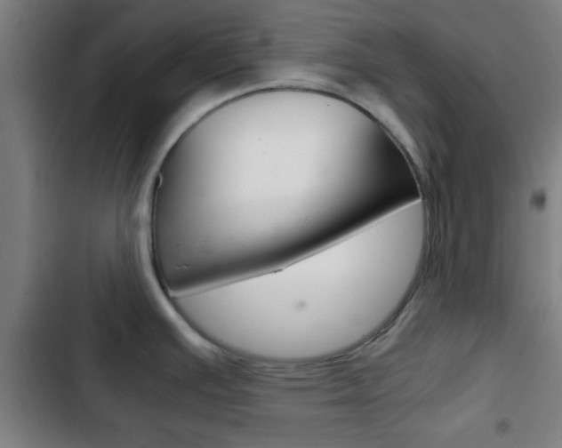 X0000103221391200808280916