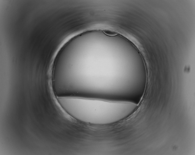 X0000103221392200808280916
