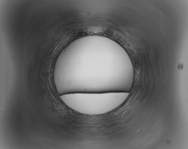 X0000103221393200808280915